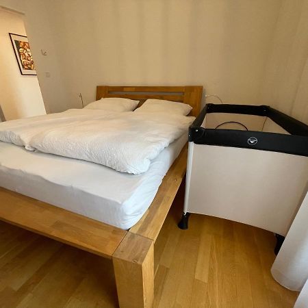 Penthouse Wohnung Am Radweg Mit Dachterasse Waidhofen an der Thaya Εξωτερικό φωτογραφία